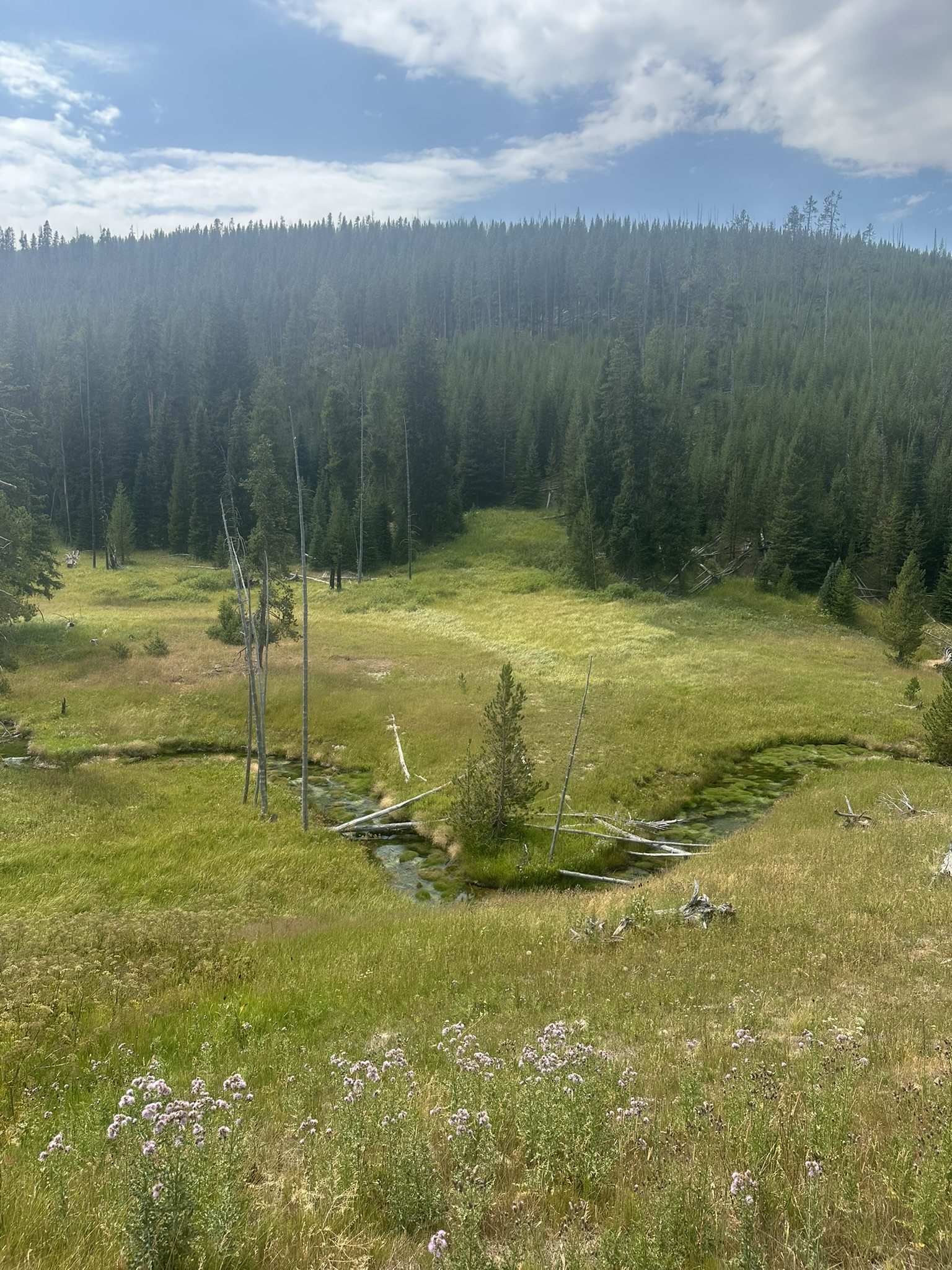 Yellowstone And Grand Teton National Parks - Image 676
